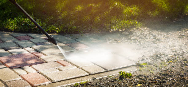 Best Animal Enclosure Cleaning  in Pilot Point, TX